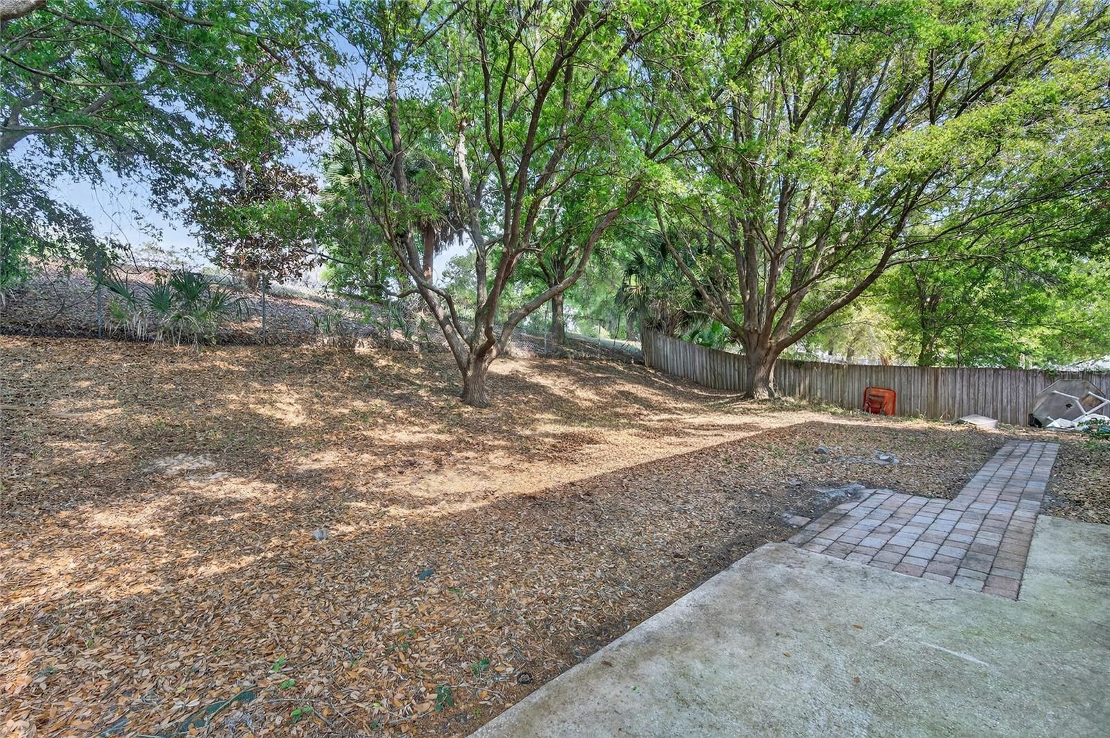 1305 WINDY BLUFF DR, MINNEOLA, FL, 34715