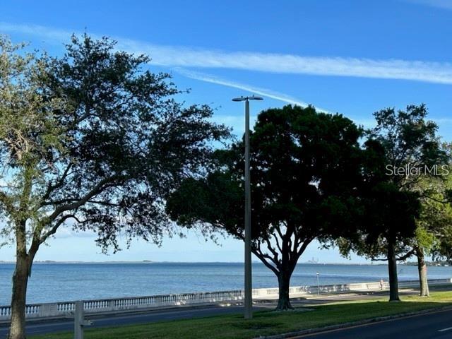 4015 BAYSHORE BLVD #8D, TAMPA, FL, 33611
