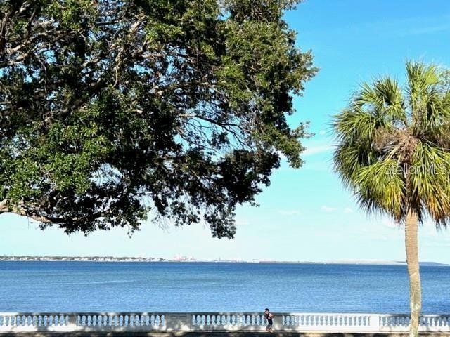 4015 BAYSHORE BLVD #8D, TAMPA, FL, 33611
