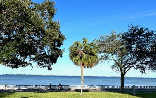 4015 BAYSHORE BLVD #8D, TAMPA, FL, 33611