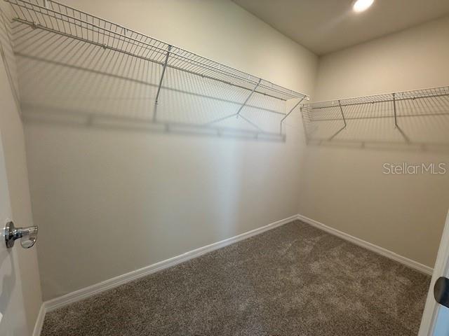 16282 MERRY ALY, WINTER GARDEN, FL, 34787