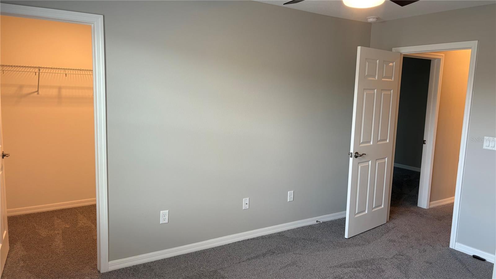 2481 STAPLEFORD PL, WESLEY CHAPEL, FL, 33543