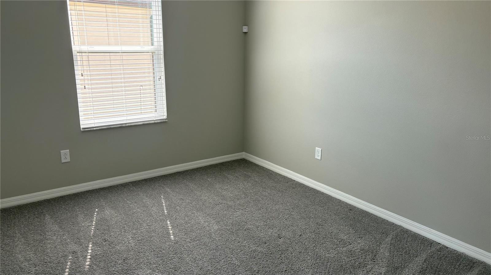 2481 STAPLEFORD PL, WESLEY CHAPEL, FL, 33543