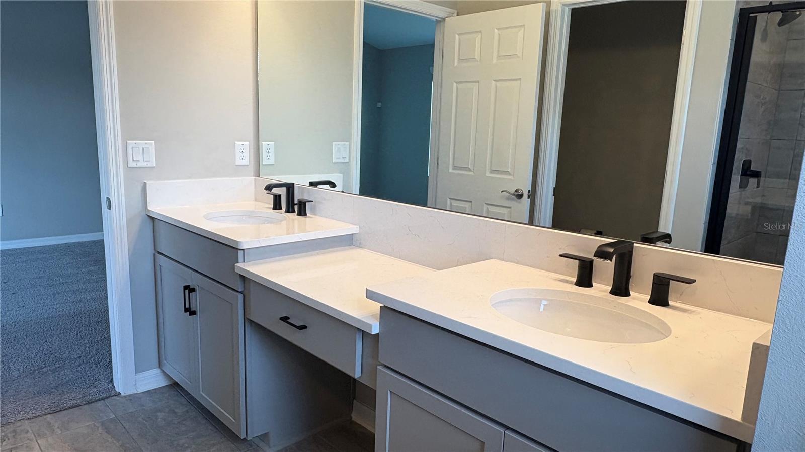 2481 STAPLEFORD PL, WESLEY CHAPEL, FL, 33543