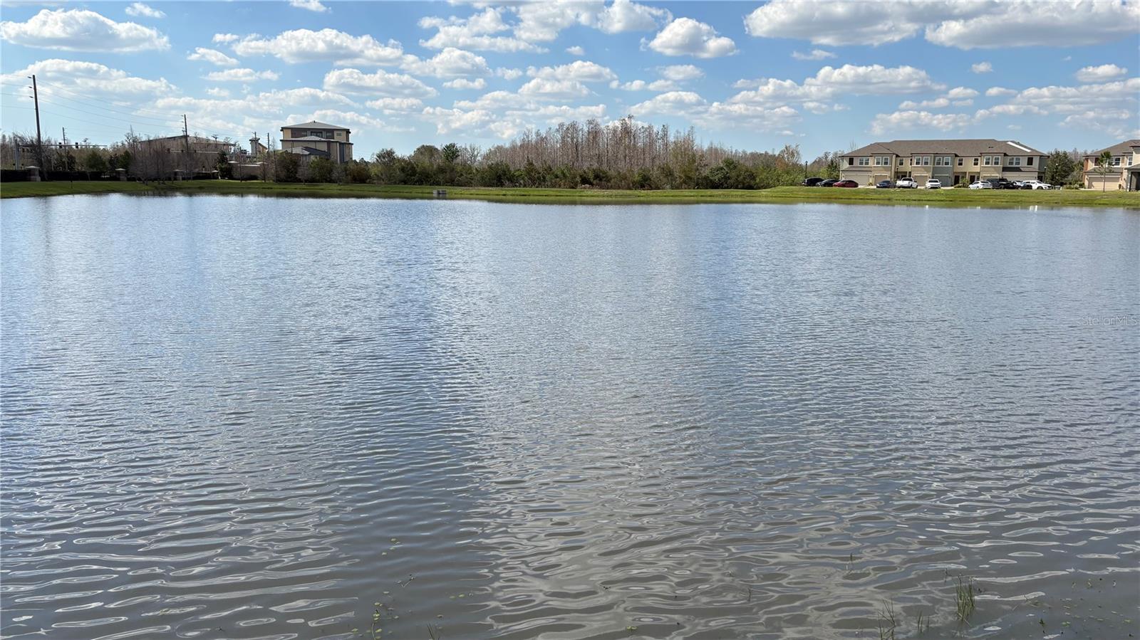 2481 STAPLEFORD PL, WESLEY CHAPEL, FL, 33543
