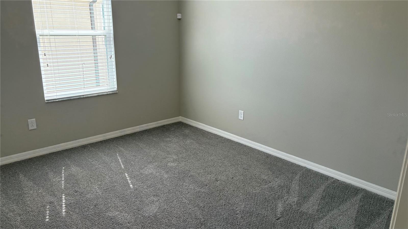 2481 STAPLEFORD PL, WESLEY CHAPEL, FL, 33543