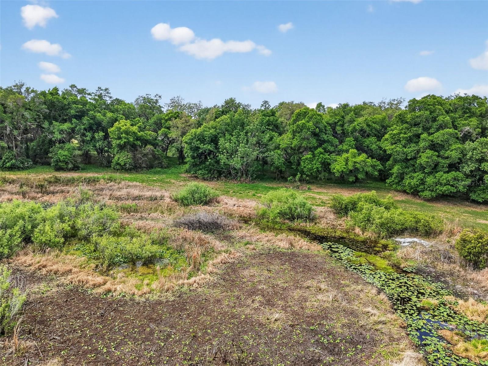 COUNTY LINE ROAD, UMATILLA, FL, 32784