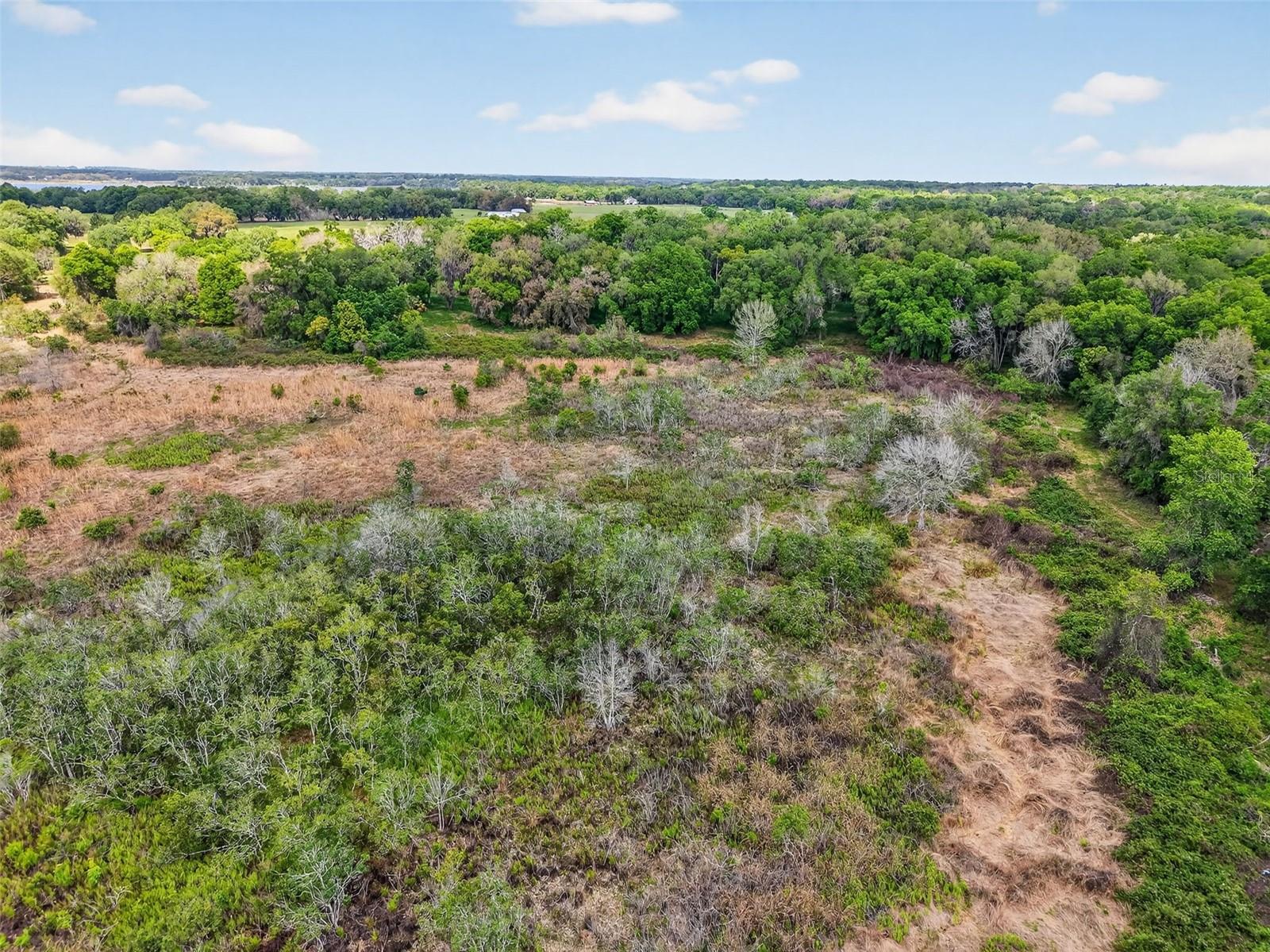 COUNTY LINE ROAD, UMATILLA, FL, 32784