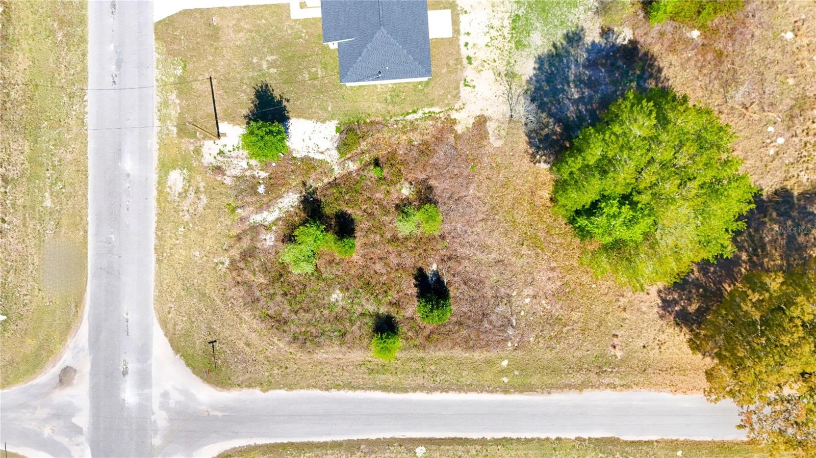 TBD CORNER LOT FISHER RD, OCKLAWAHA, FL, 32179