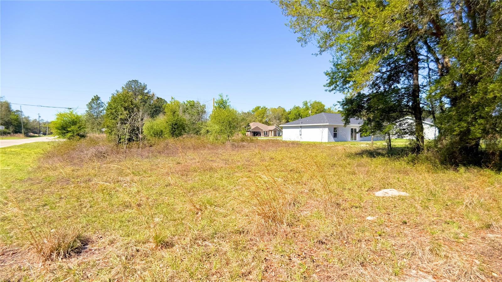 TBD CORNER LOT FISHER RD, OCKLAWAHA, FL, 32179