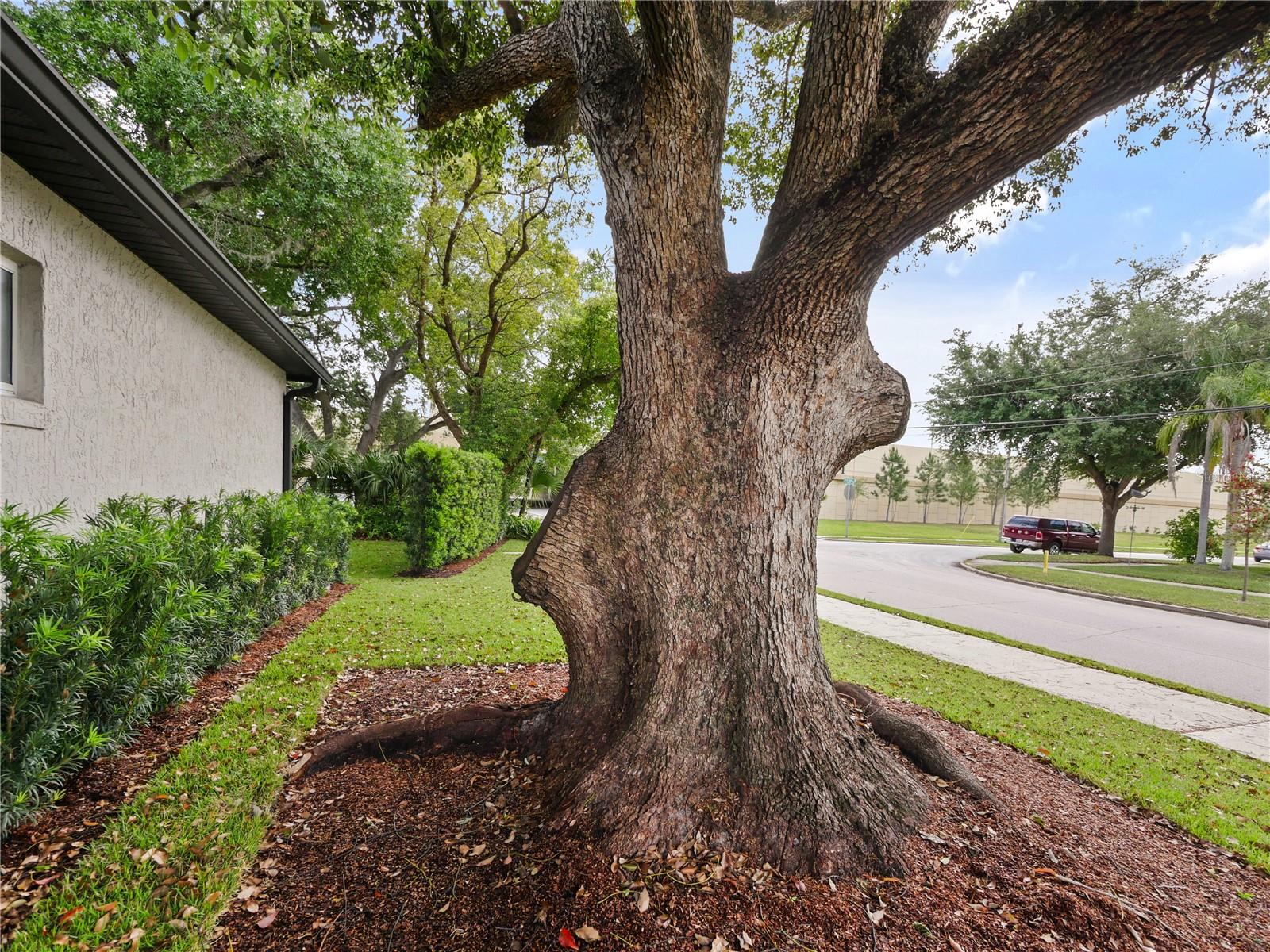1801 FORMOSA AVE, ORLANDO, FL, 32804