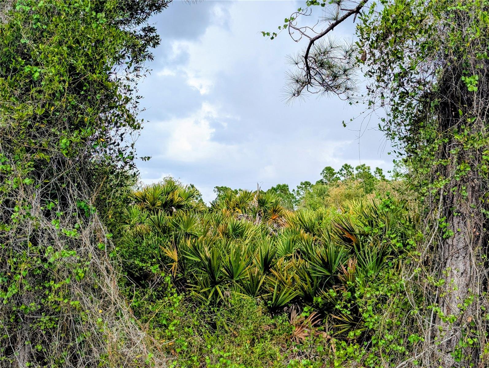 CALLAGHAN LN, NORTH PORT, FL, 34291