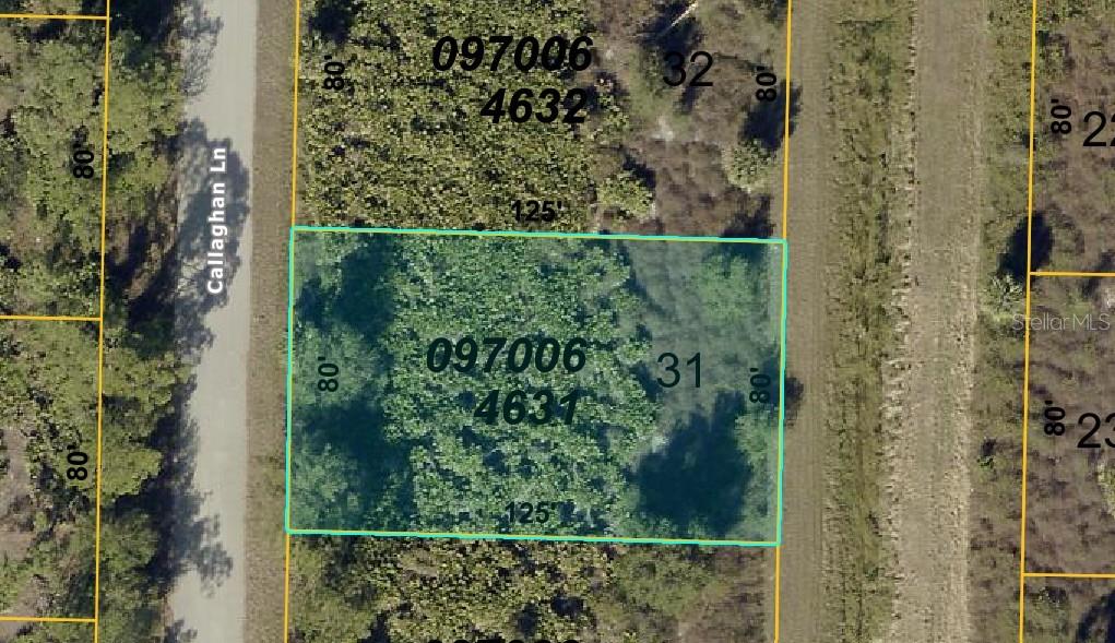 CALLAGHAN LN, NORTH PORT, FL, 34291