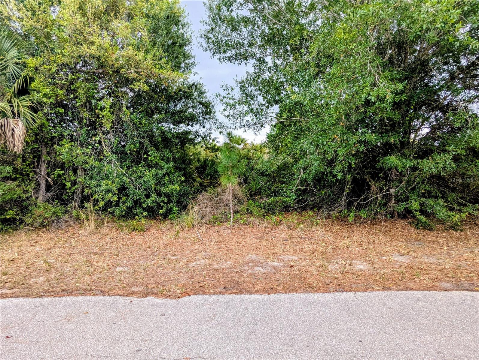 CALLAGHAN LN, NORTH PORT, FL, 34291