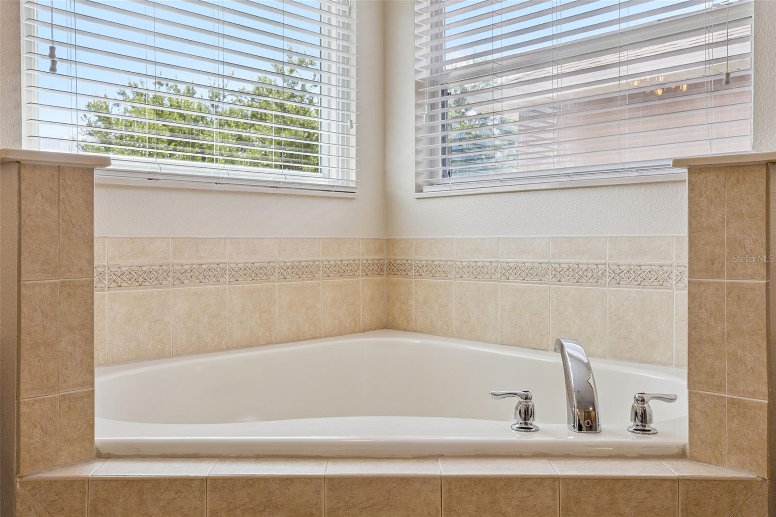 14680 BLACK CHERRY TRL, WINTER GARDEN, FL, 34787