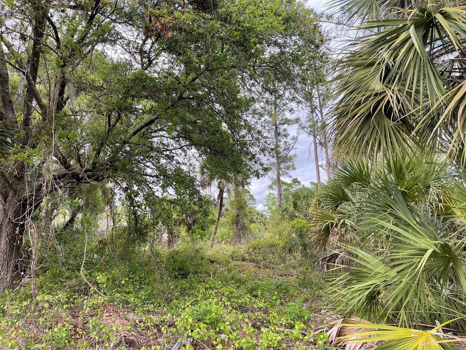 Lot 15 ANANAS RD, NORTH PORT, FL, 34288
