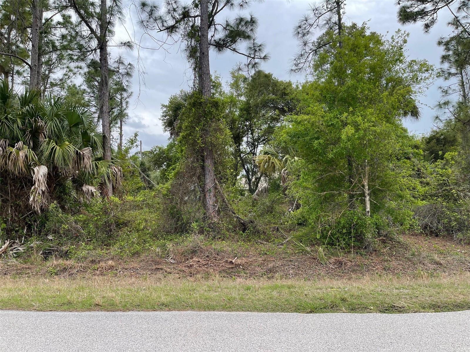 Lot 15 ANANAS RD, NORTH PORT, FL, 34288