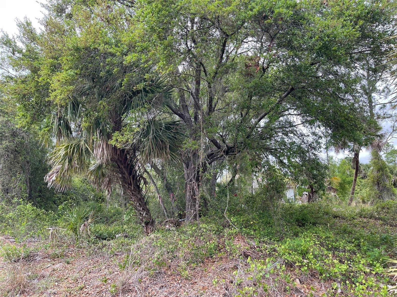 Lot 15 ANANAS RD, NORTH PORT, FL, 34288