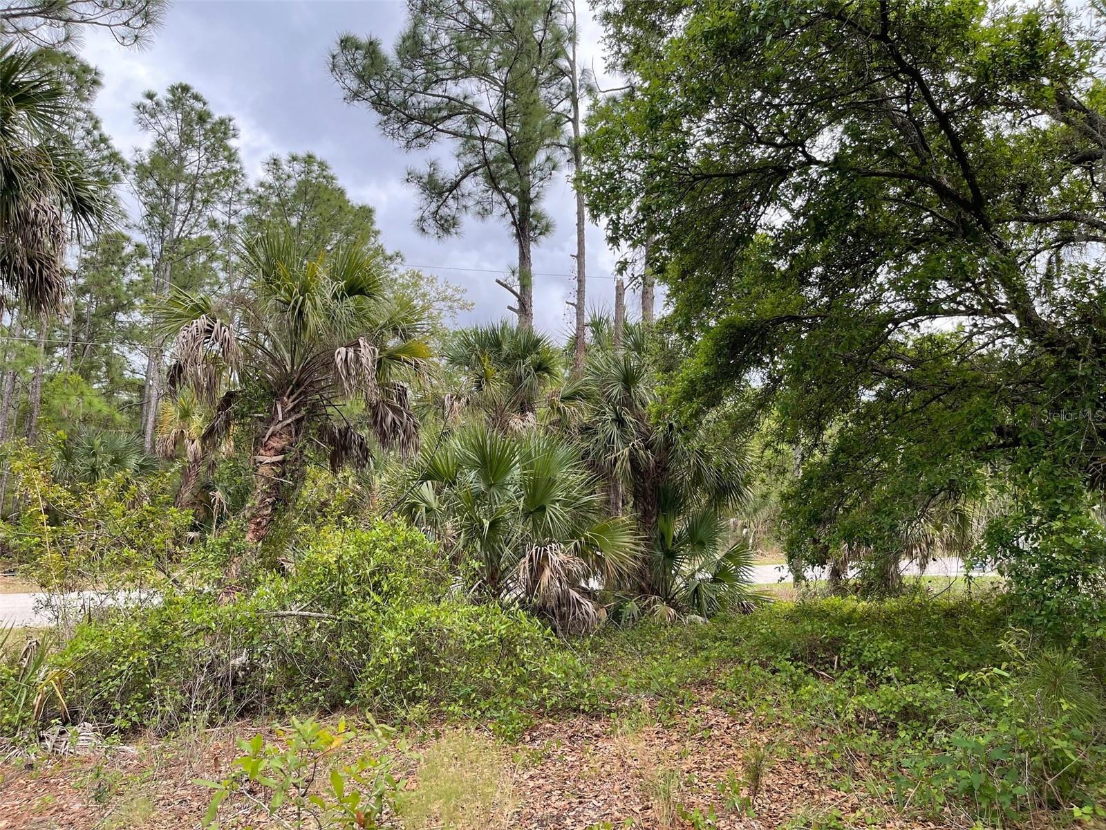 Lot 15 ANANAS RD, NORTH PORT, FL, 34288