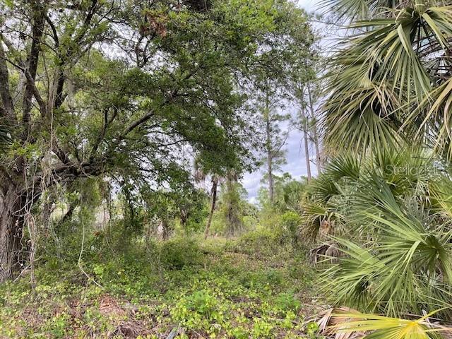 Lot 15 ANANAS RD, NORTH PORT, FL, 34288