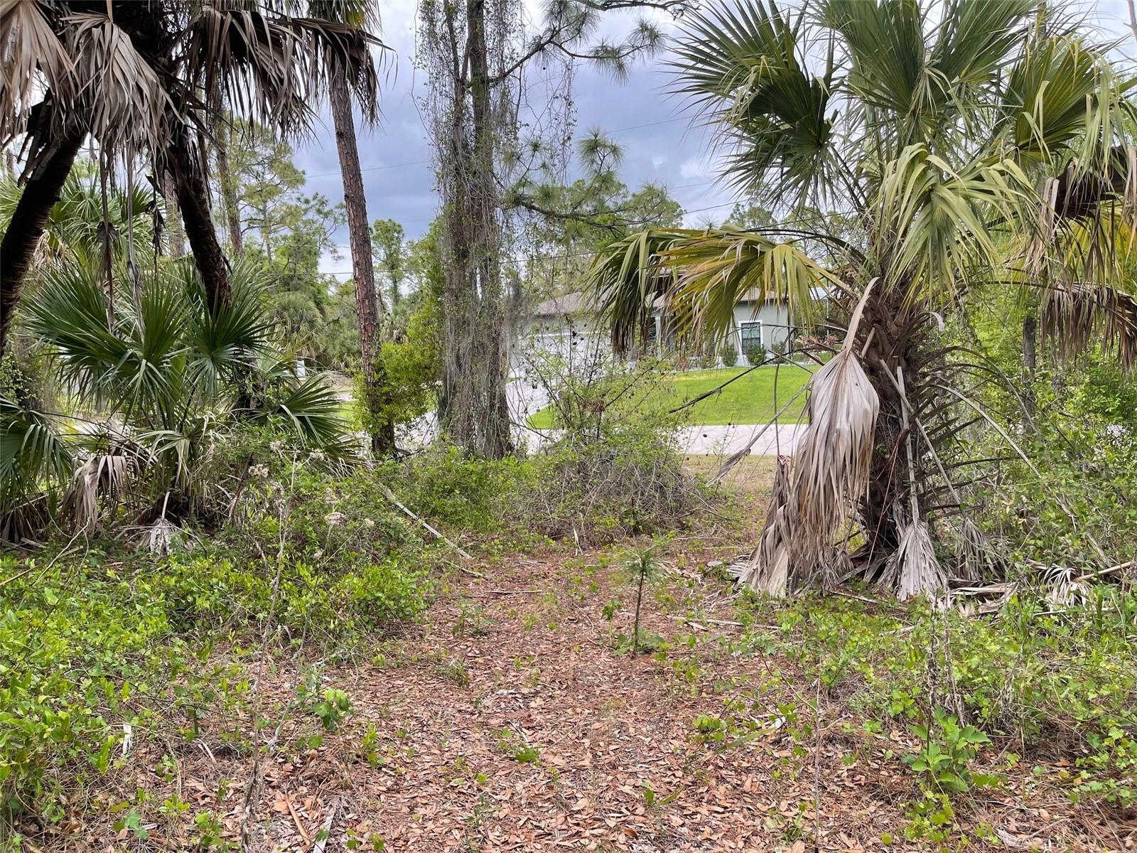 Lot 15 ANANAS RD, NORTH PORT, FL, 34288