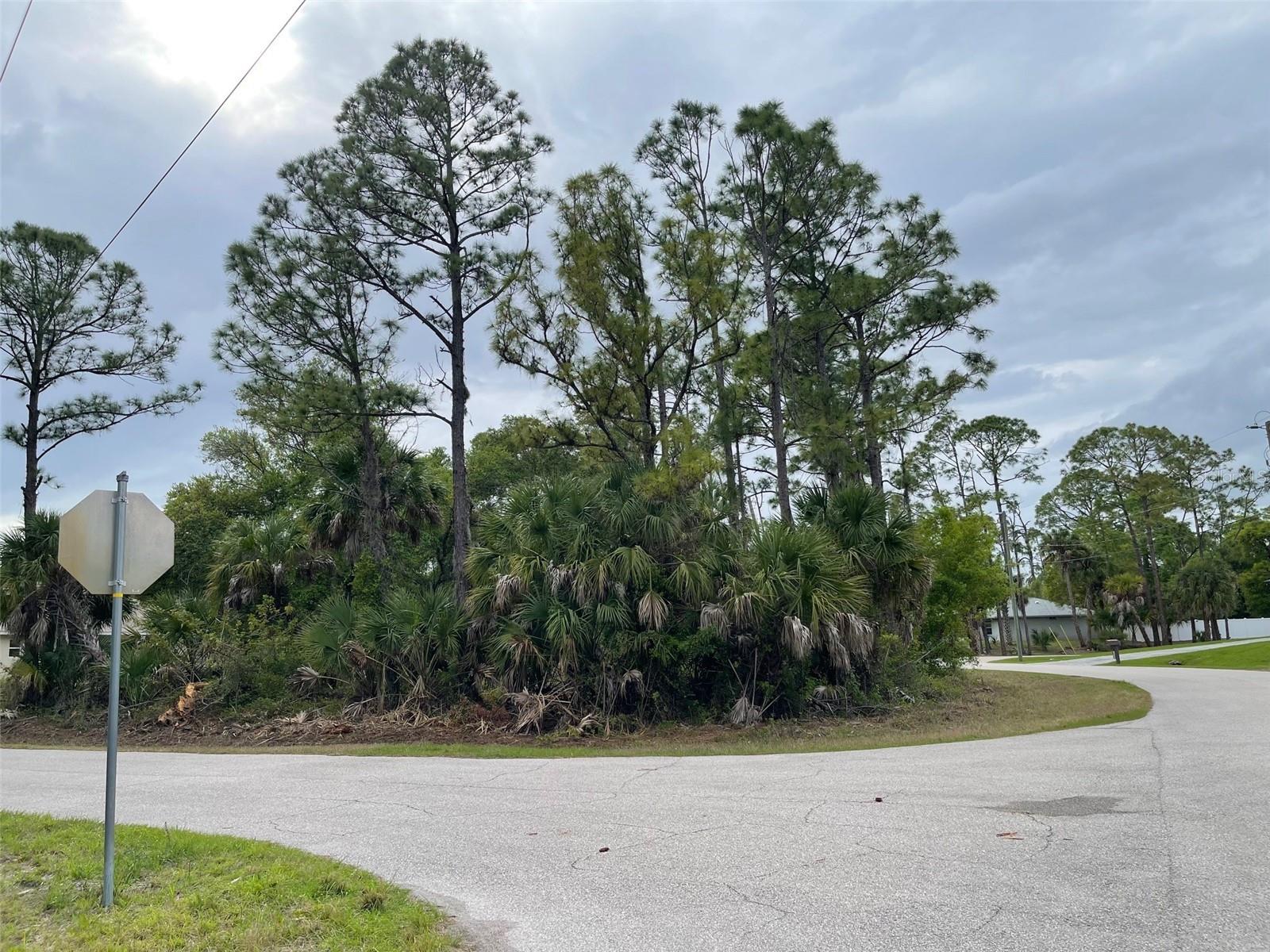 Lot 15 ANANAS RD, NORTH PORT, FL, 34288