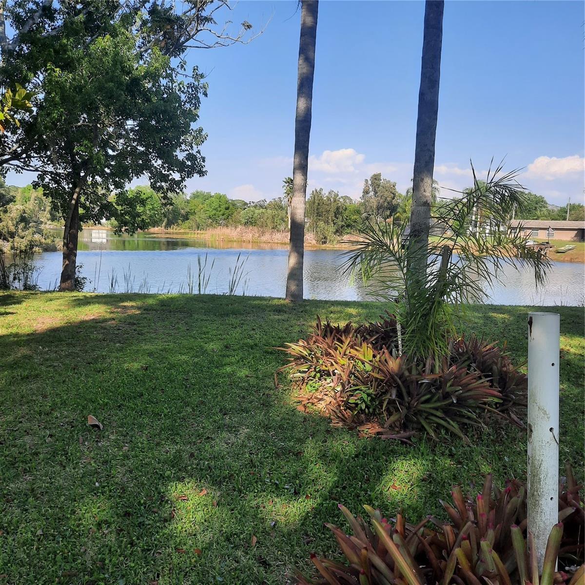 10502 HINDS PL, ODESSA, FL, 33556