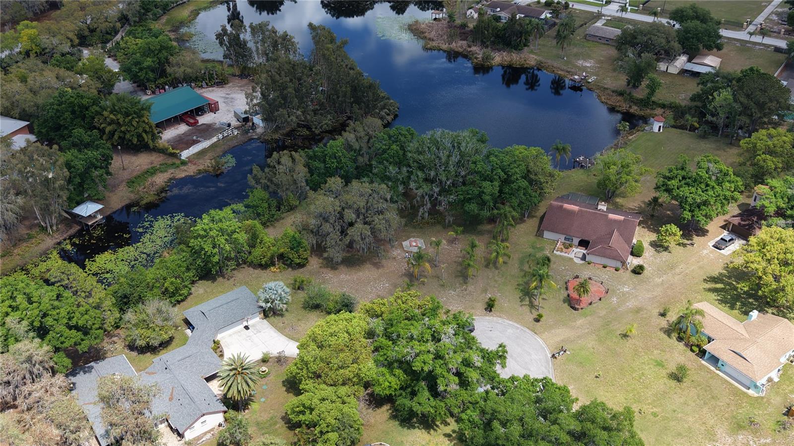 10502 HINDS PL, ODESSA, FL, 33556