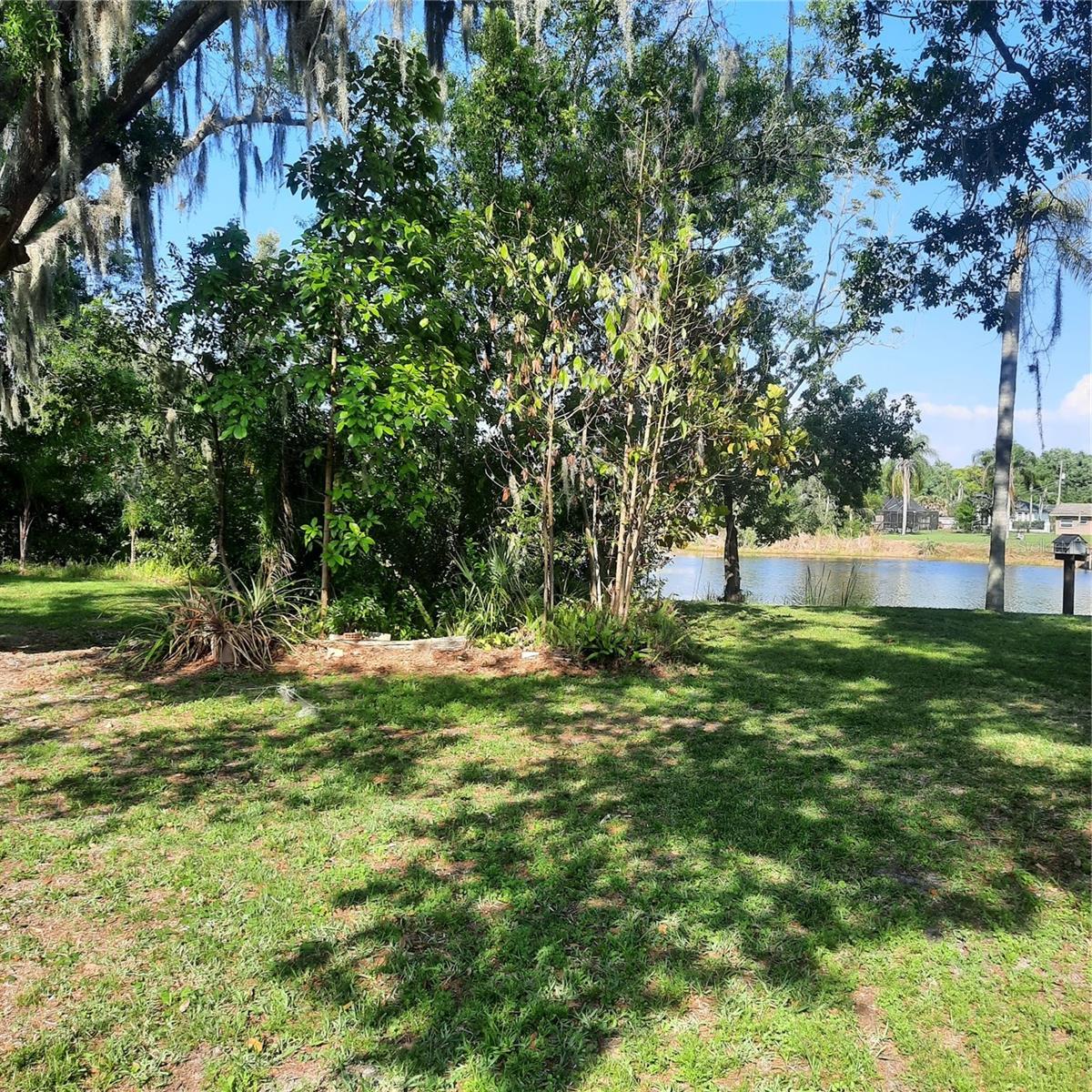 10502 HINDS PL, ODESSA, FL, 33556