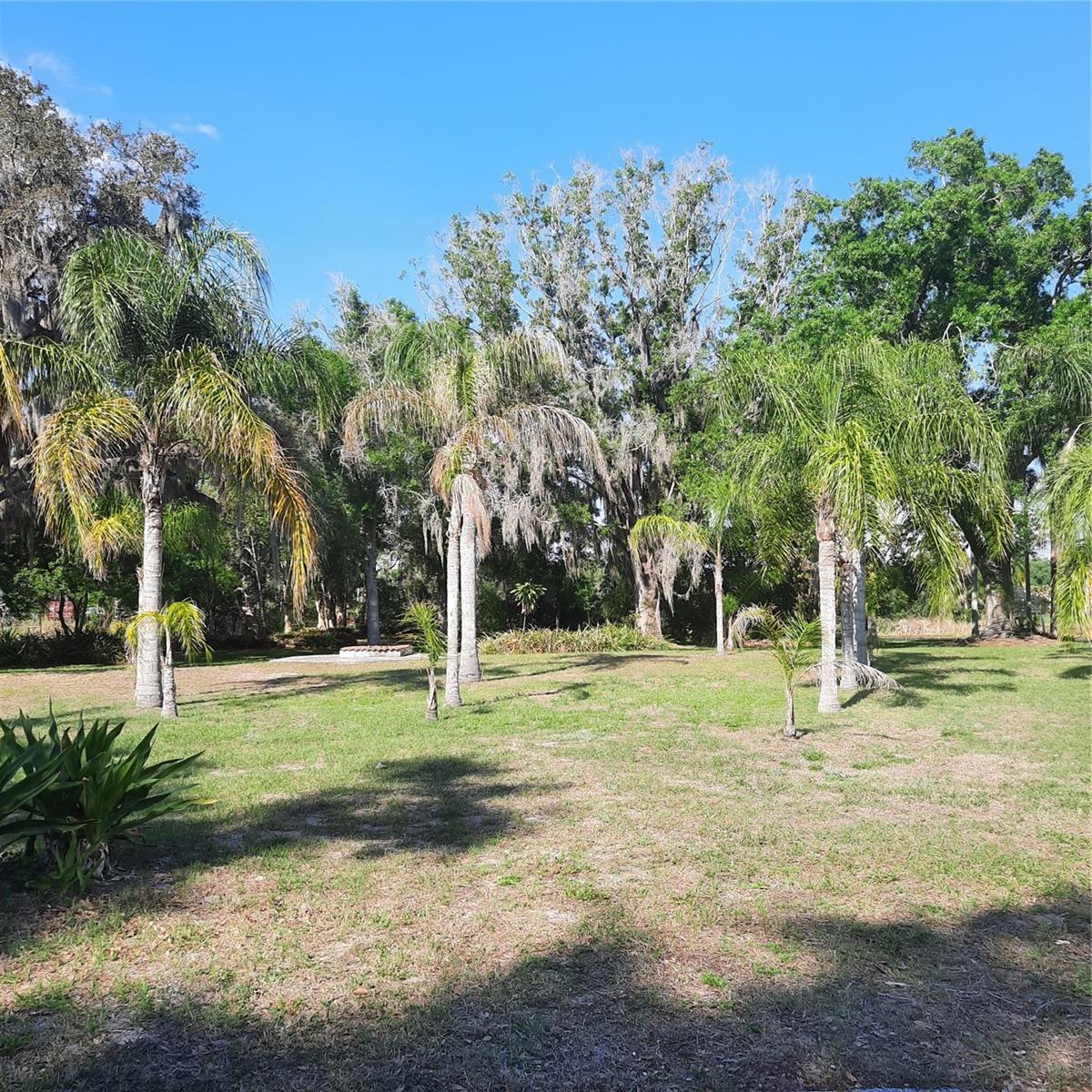 10502 HINDS PL, ODESSA, FL, 33556