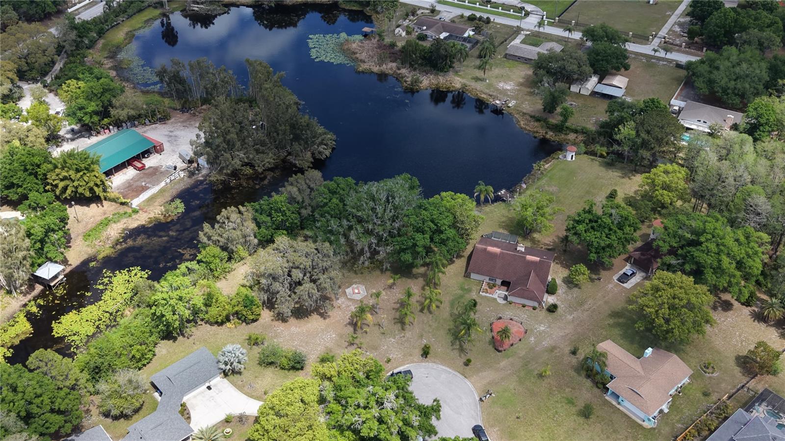 10502 HINDS PL, ODESSA, FL, 33556