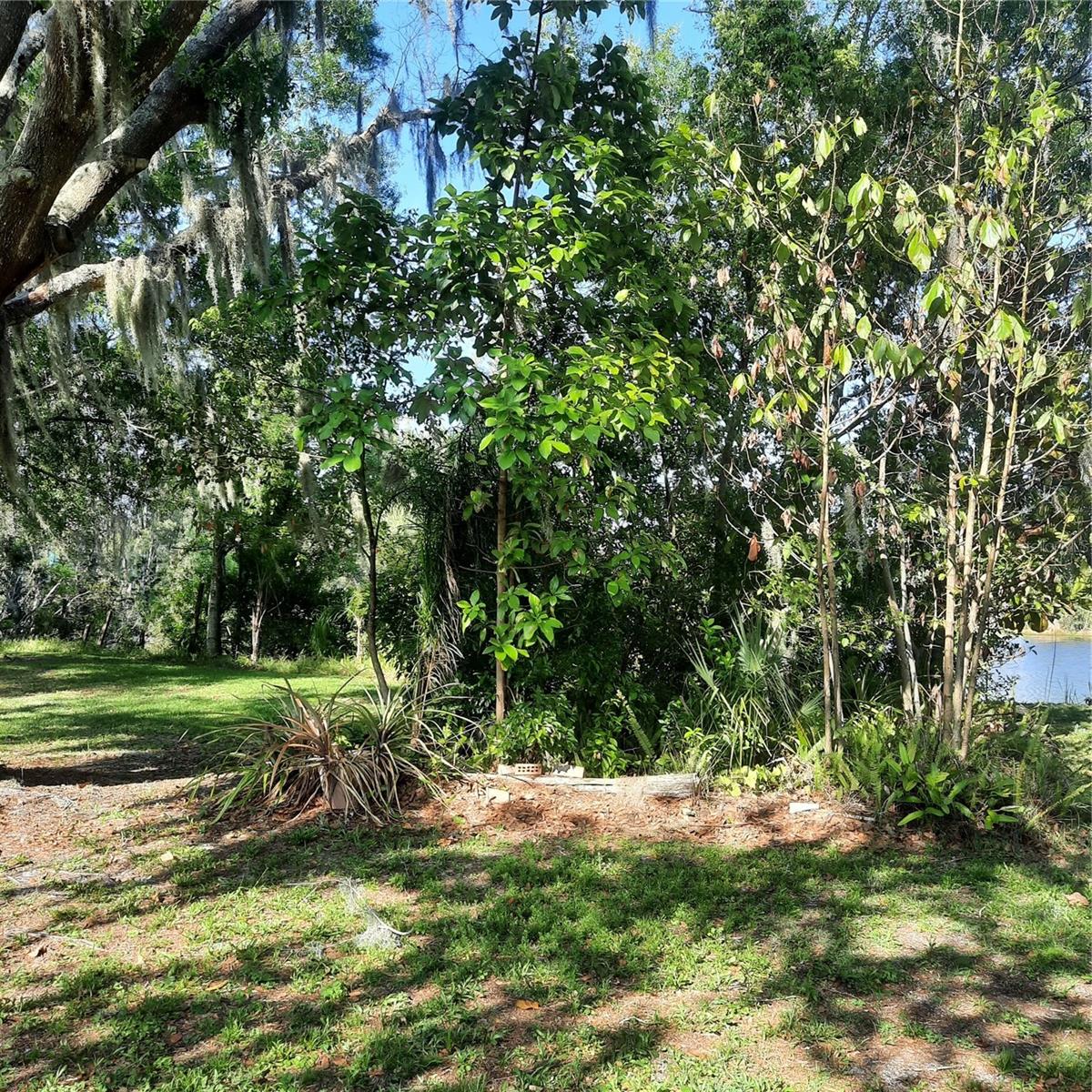 10502 HINDS PL, ODESSA, FL, 33556