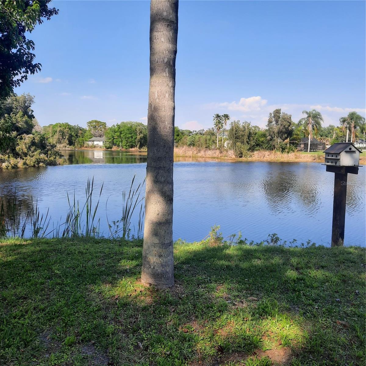 10502 HINDS PL, ODESSA, FL, 33556