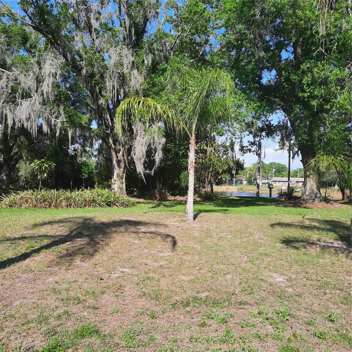 10502 HINDS PL, ODESSA, FL, 33556