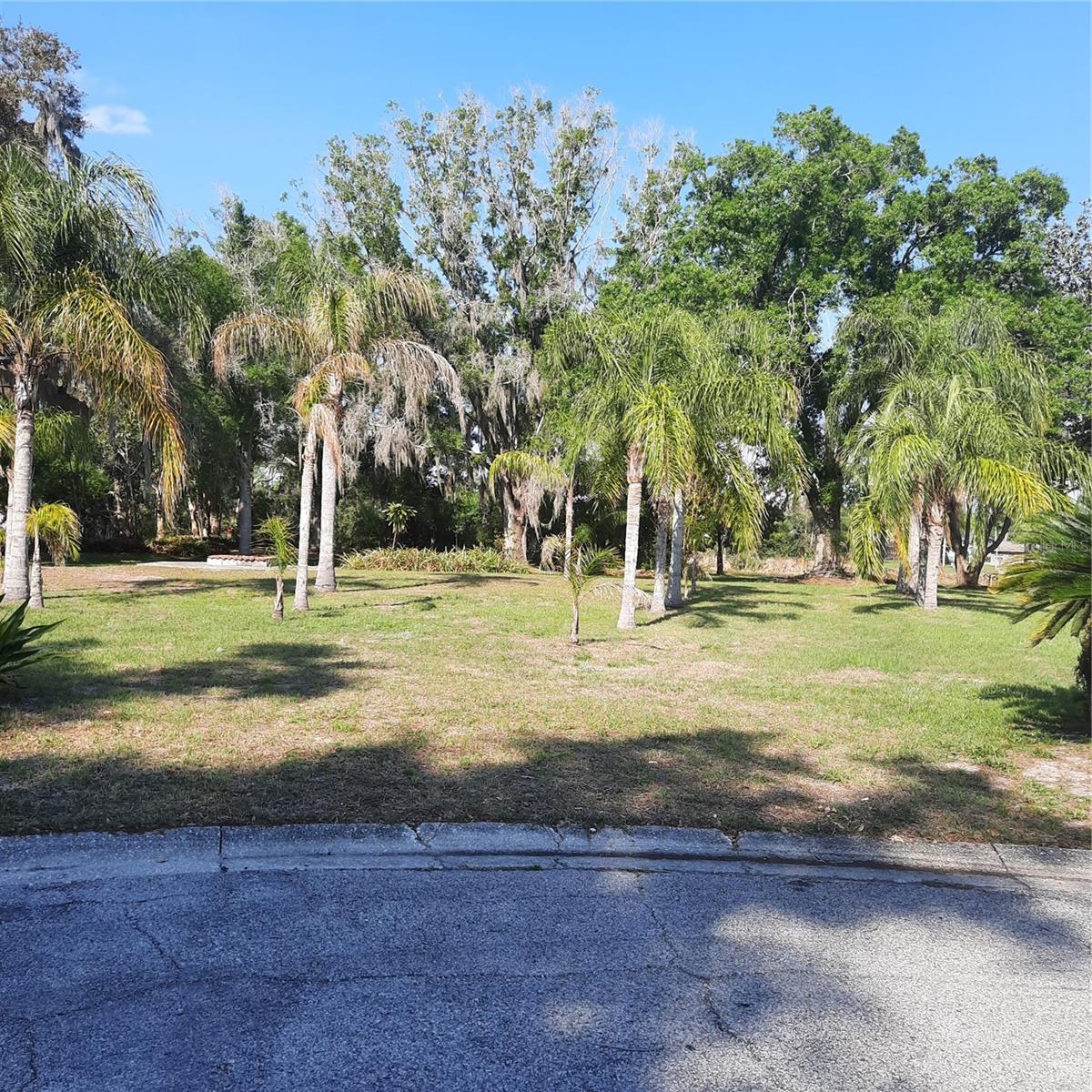 10502 HINDS PL, ODESSA, FL, 33556