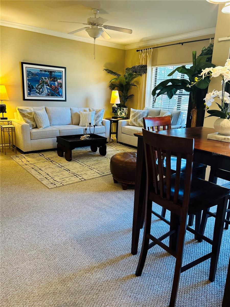 2245 CHIANTI PL #726, PALM HARBOR, FL, 34683