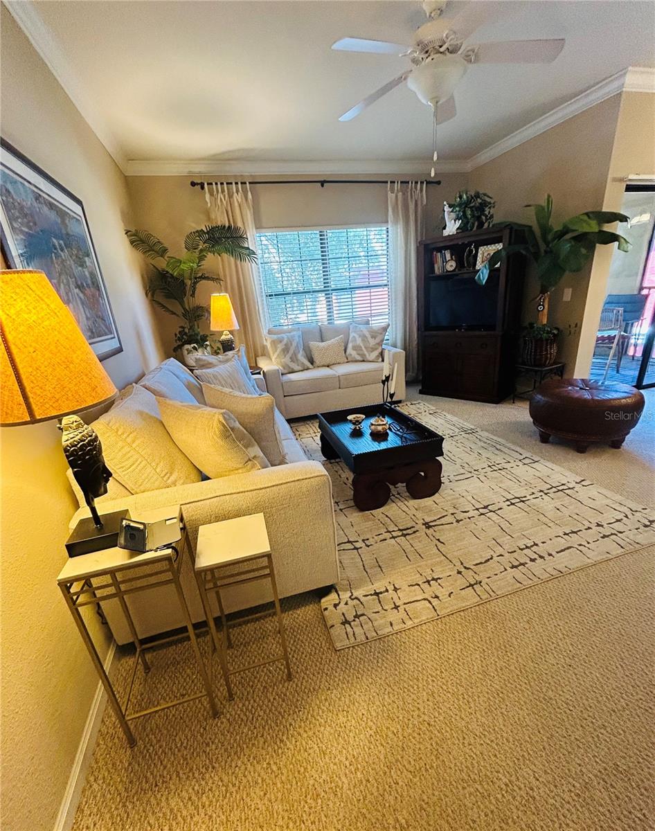 2245 CHIANTI PL #726, PALM HARBOR, FL, 34683
