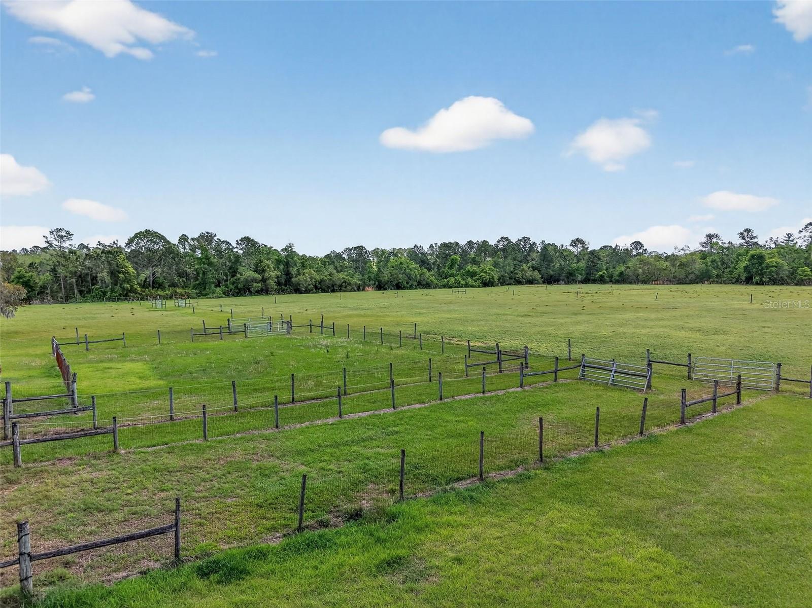 36707 COUNTY ROAD 439, EUSTIS, FL, 32736