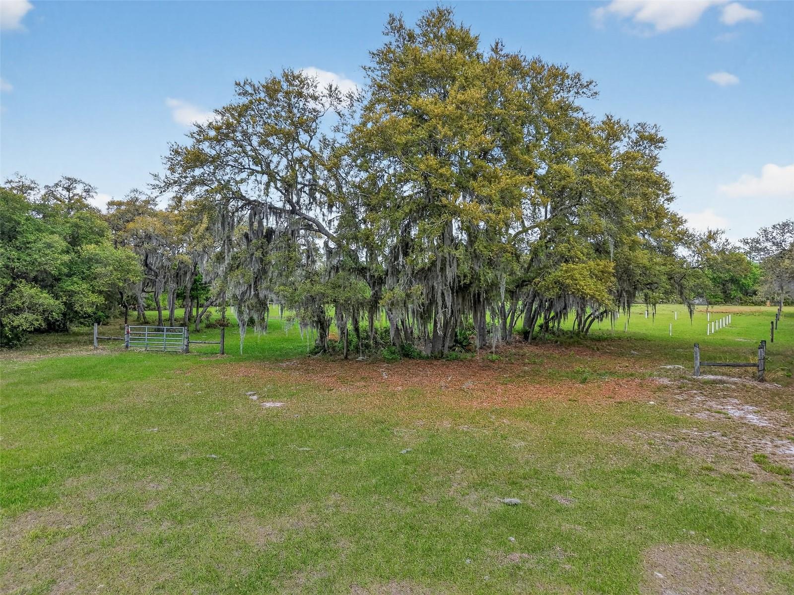 36707 COUNTY ROAD 439, EUSTIS, FL, 32736