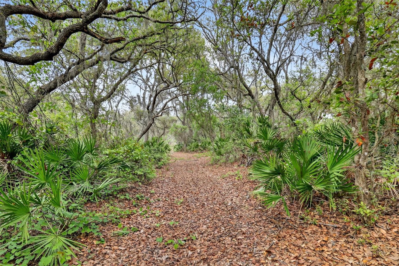 36707 COUNTY ROAD 439, EUSTIS, FL, 32736