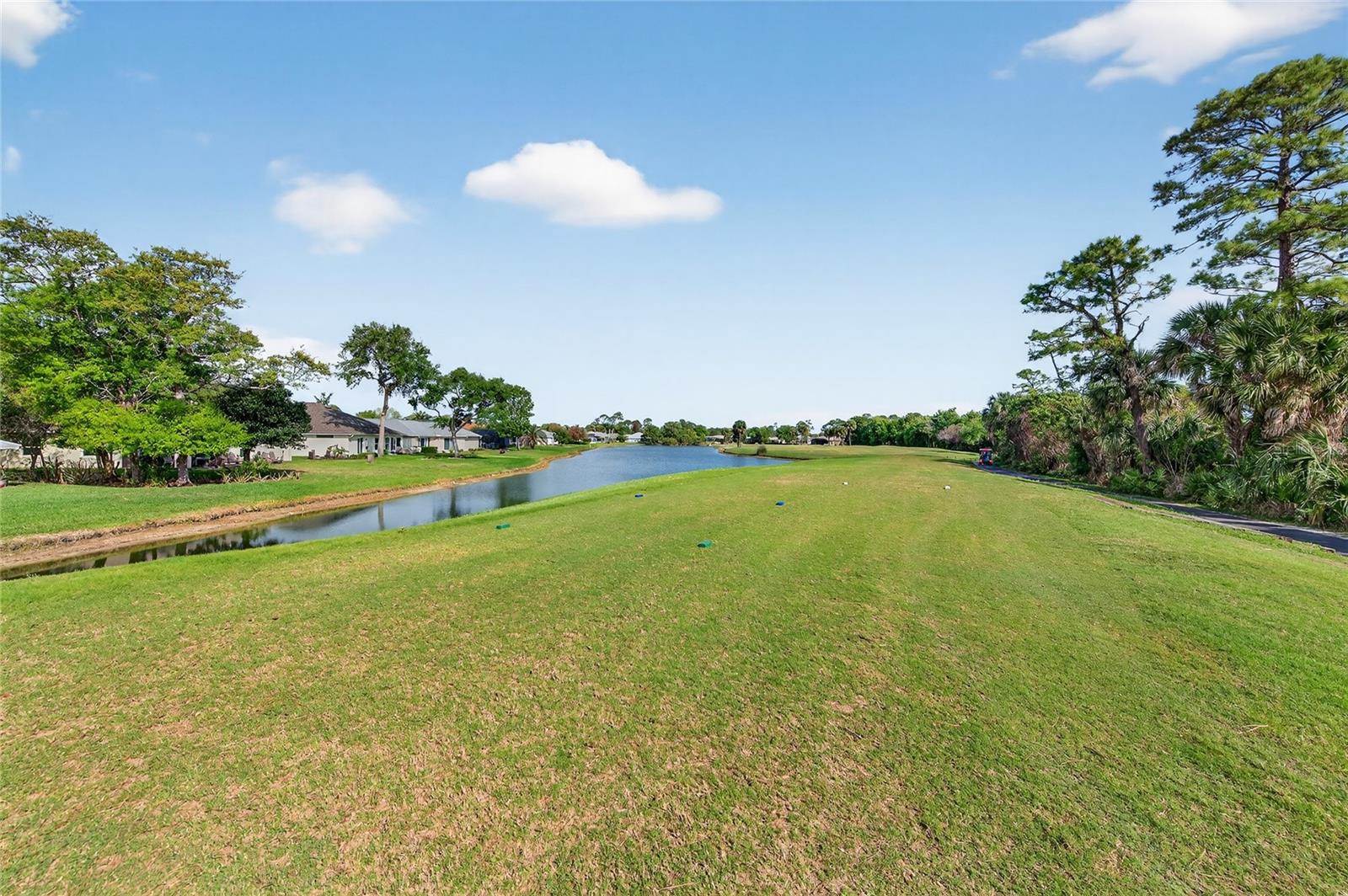 1801 TURNBULL LAKES DR, NEW SMYRNA BEACH, FL, 32168