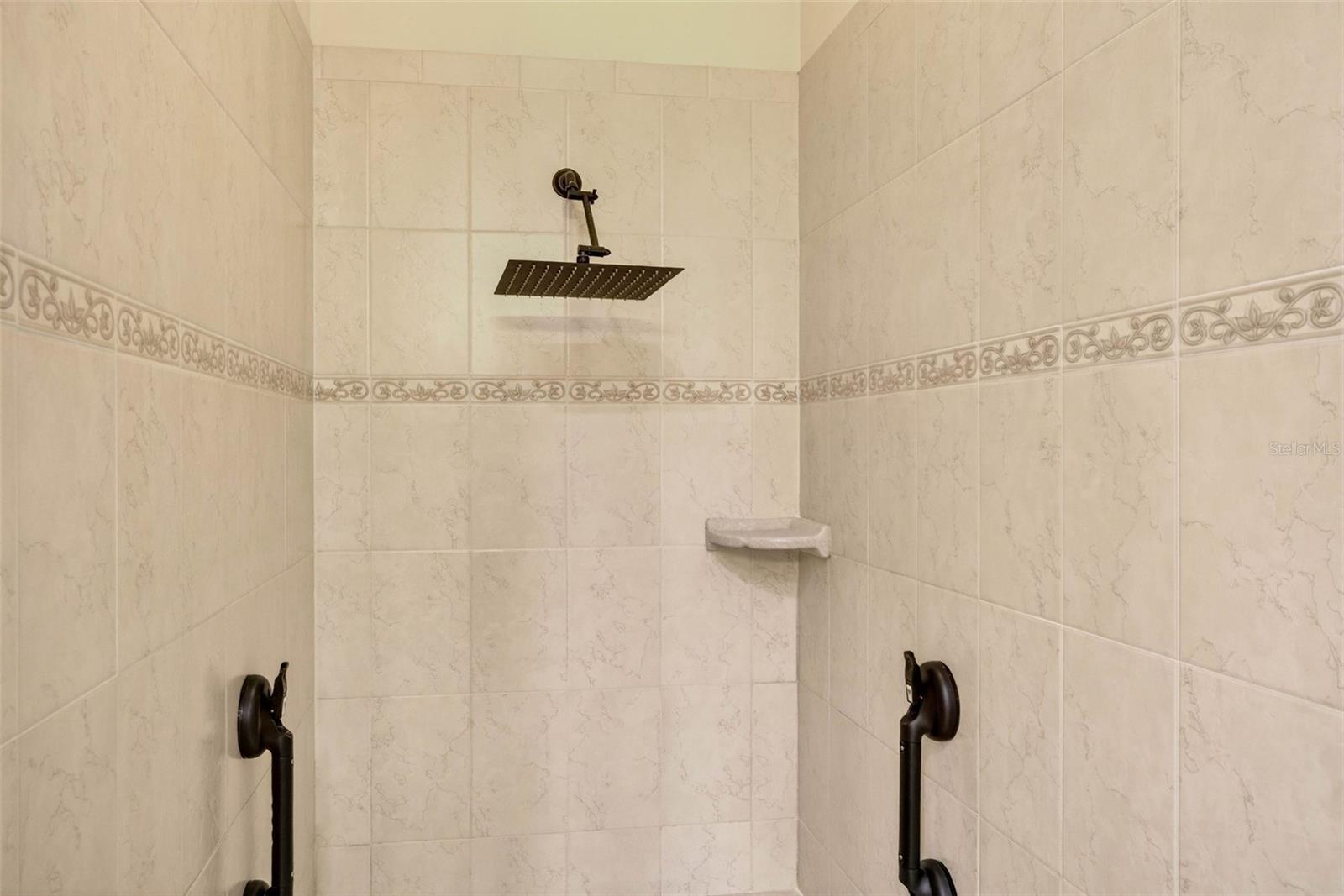 Rain shower head in primary bathroom with decorative tiles and grab bars.
