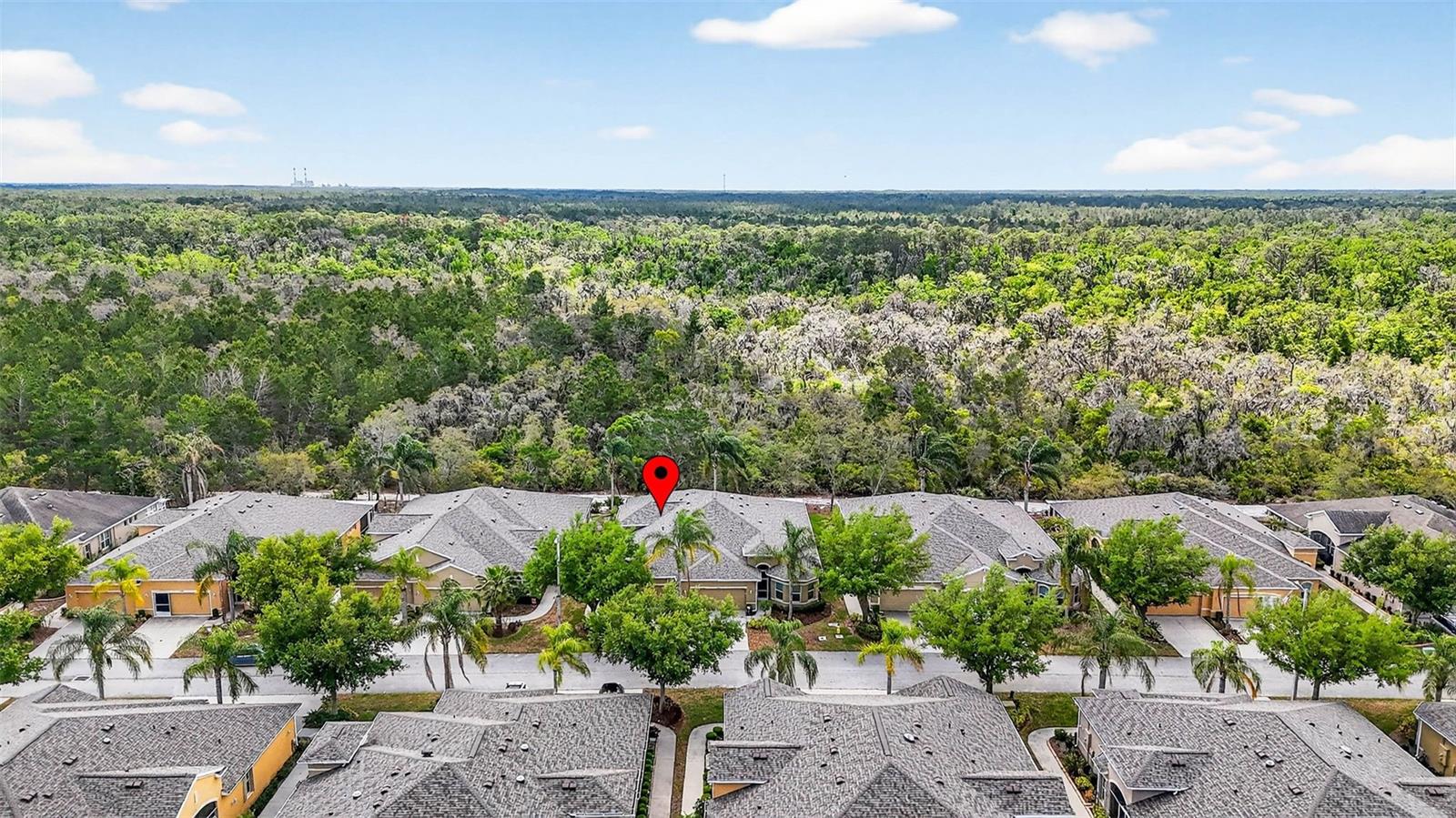 Home backs to Little Manatee River State Park