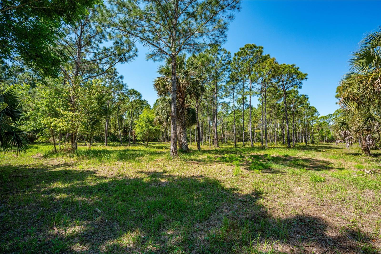 S US HWY 1, OAK HILL, FL, 32759