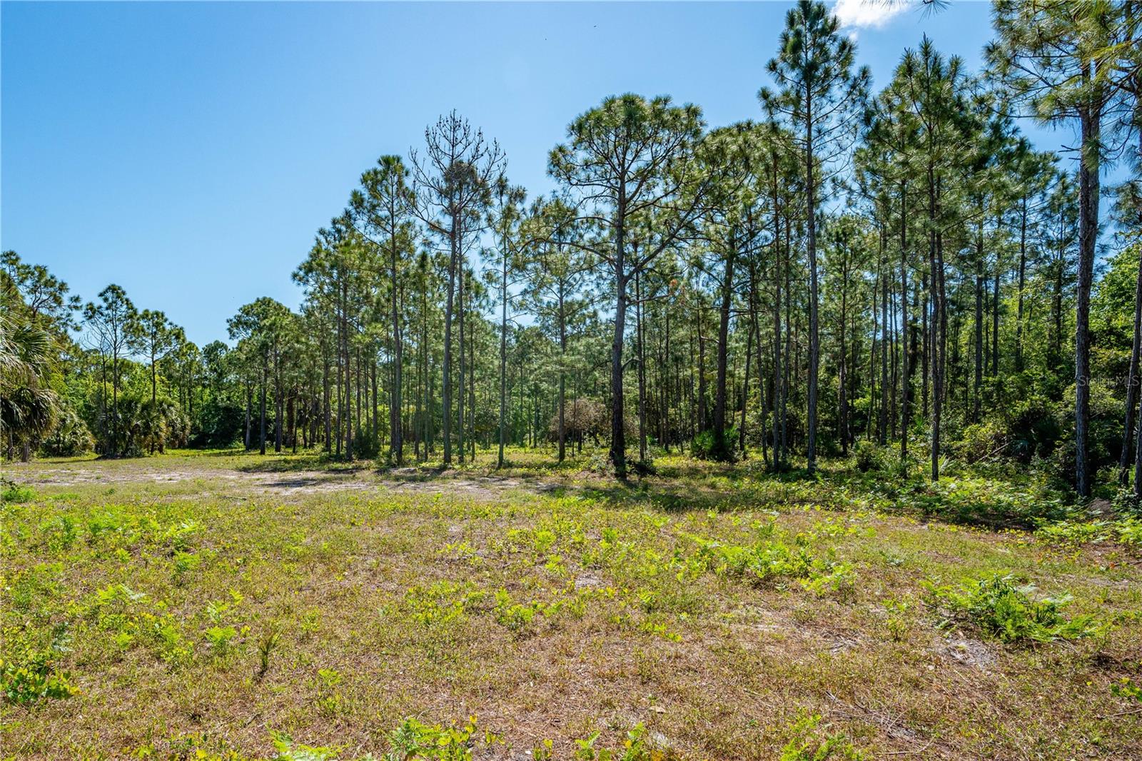 S US HWY 1, OAK HILL, FL, 32759