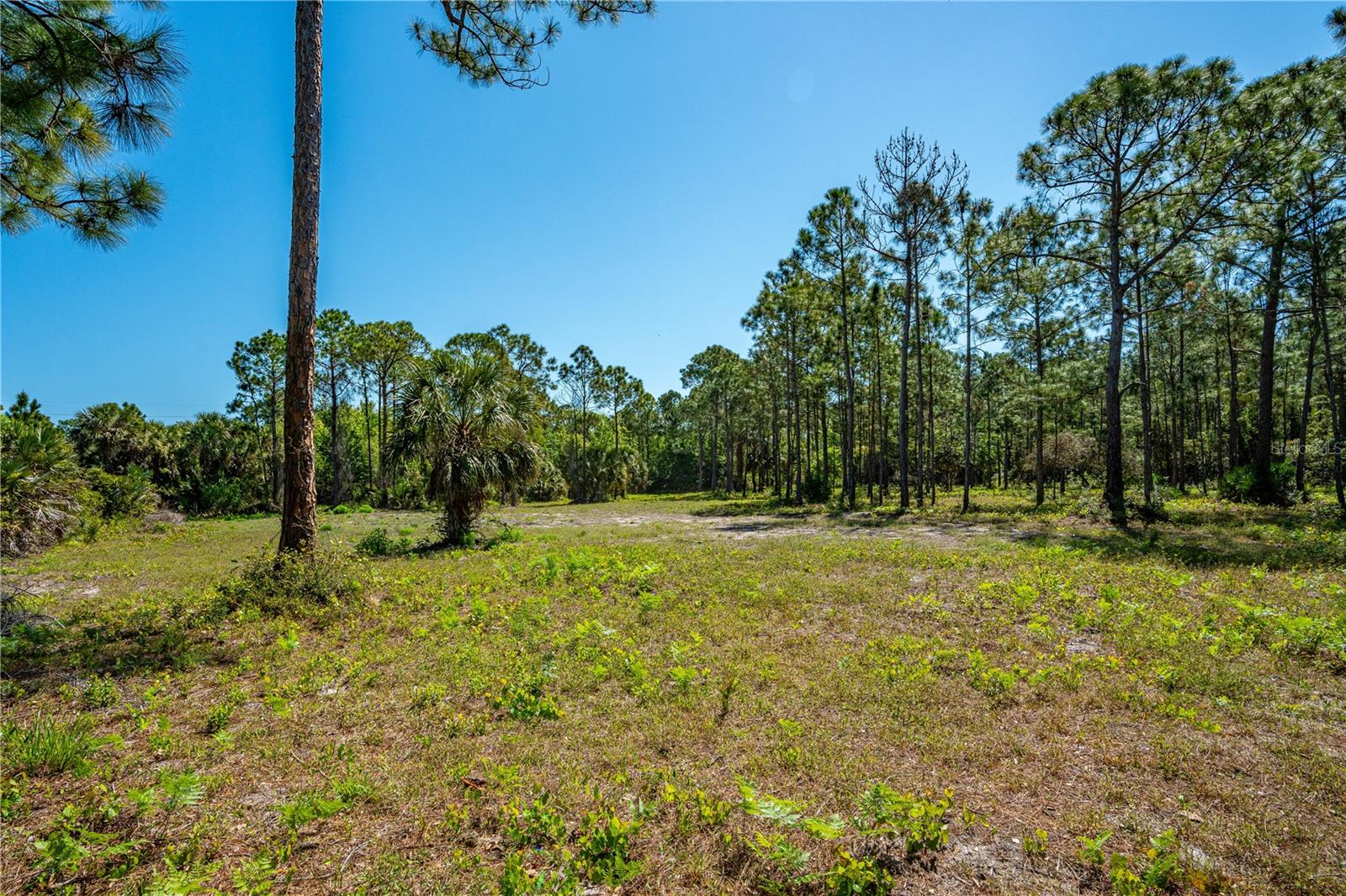 S US HWY 1, OAK HILL, FL, 32759