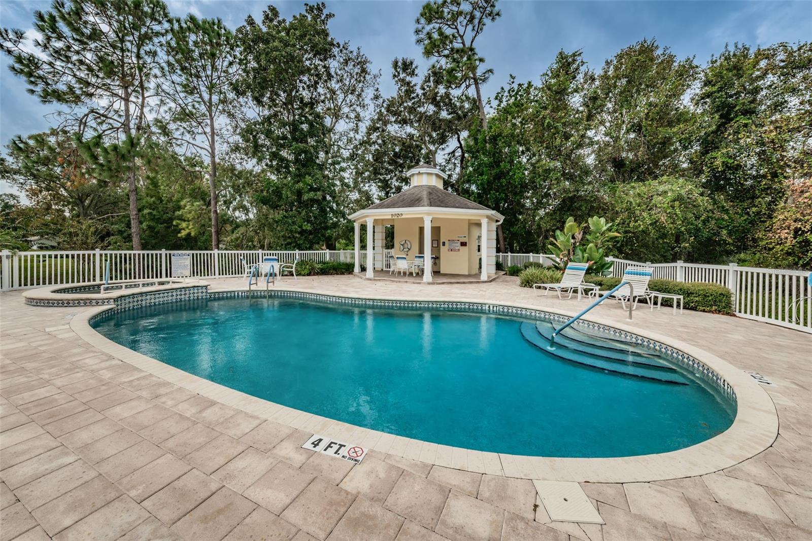 1185 ROYAL BLVD, PALM HARBOR, FL, 34684