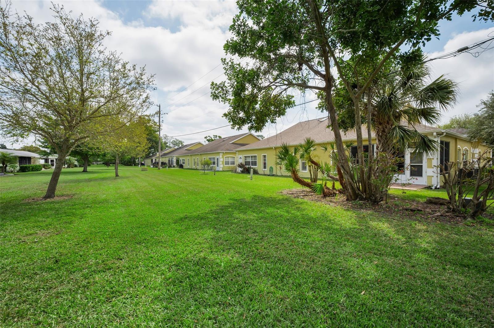 1185 ROYAL BLVD, PALM HARBOR, FL, 34684