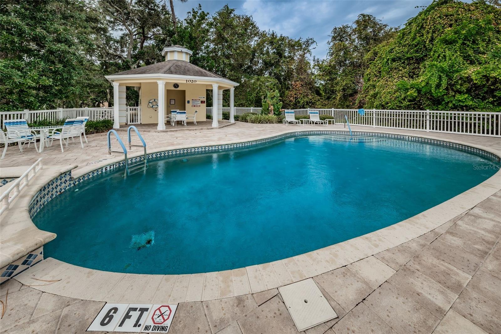 1185 ROYAL BLVD, PALM HARBOR, FL, 34684