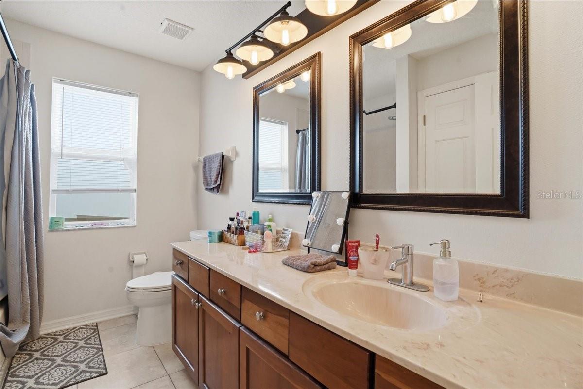 7860 ATWOOD DR, WESLEY CHAPEL, FL, 33545